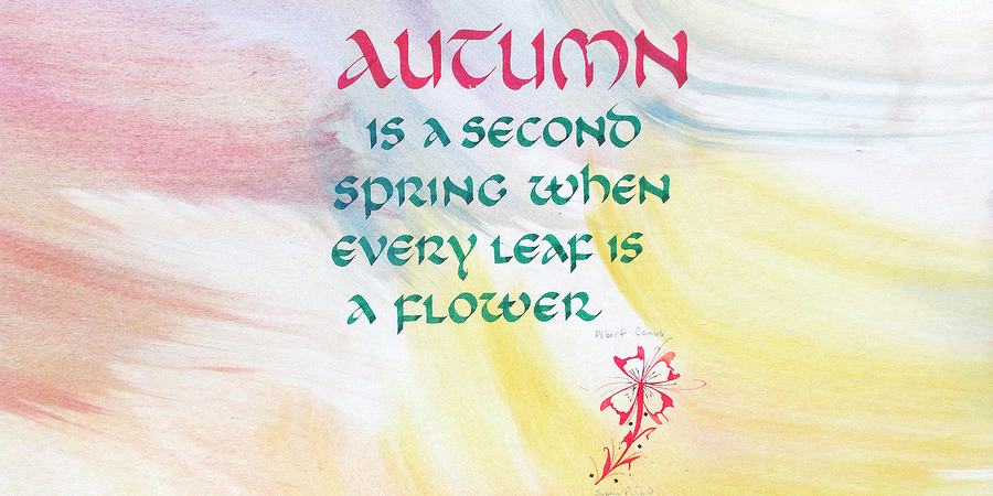 Exploring Calligraphy: Foundational and Uncial promotional image