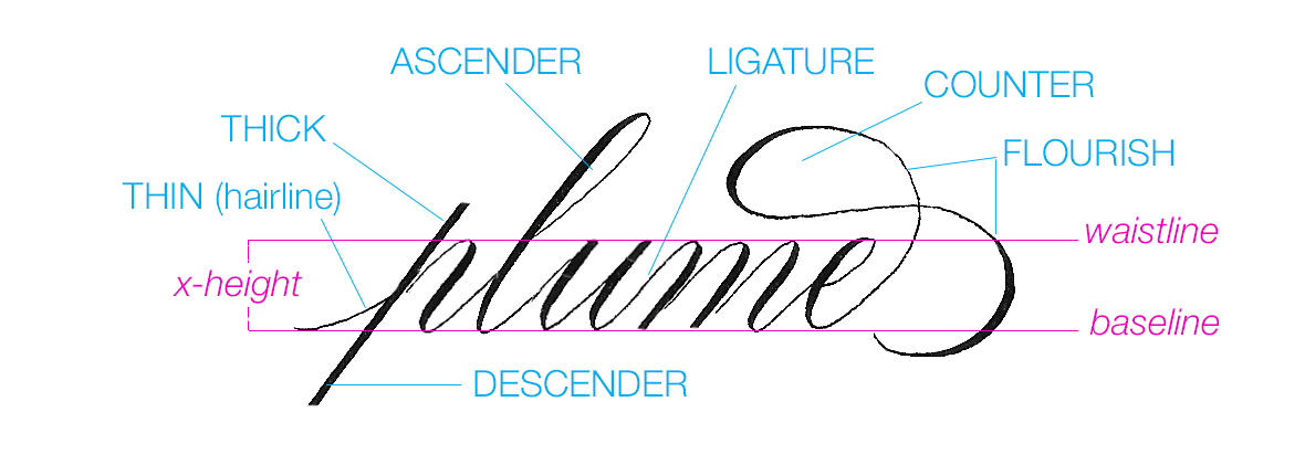 Introduction to Copperplate promotional image